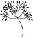 branche cérémonie grain de malice