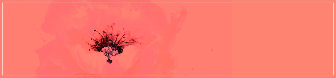 image home page velours